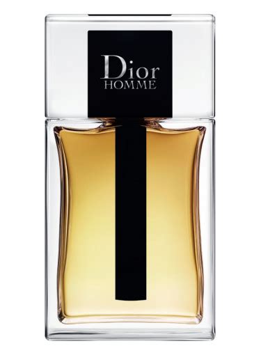 dior homme eau de man|dior homme 2020 douglas.